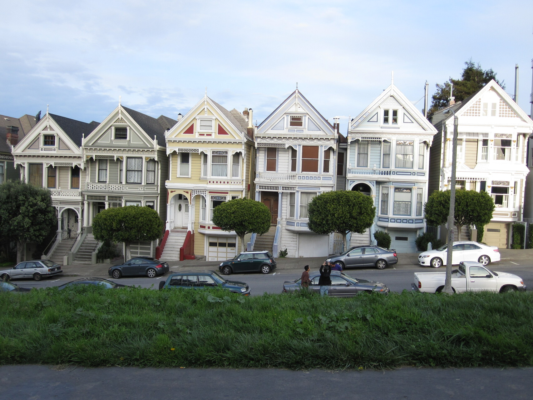 painted ladies