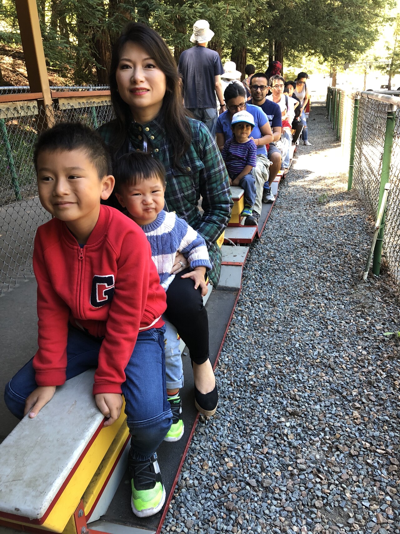 train