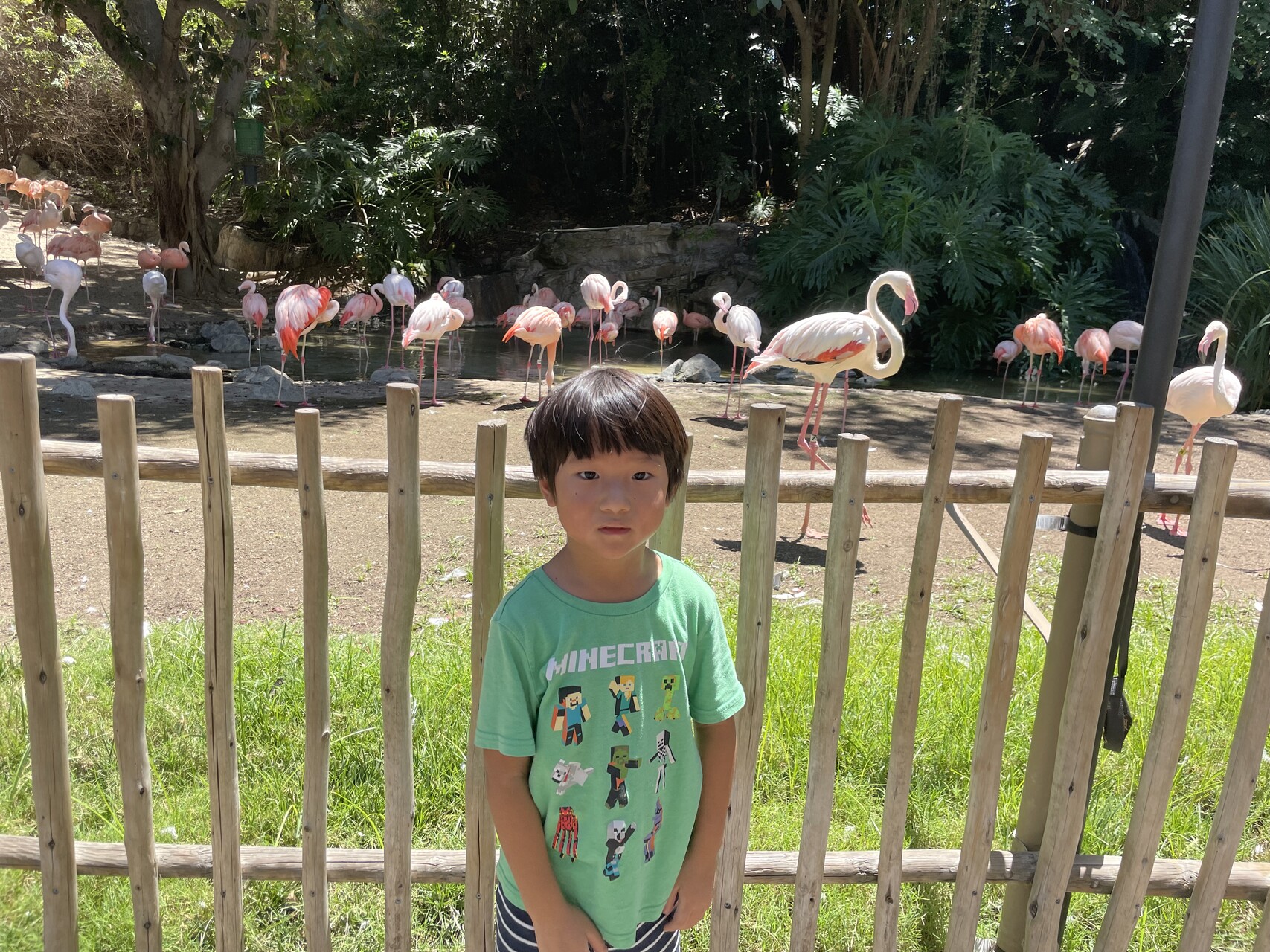 zoo